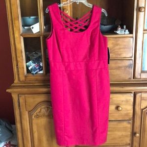 Rafaella Dress. Size 10. Pink.